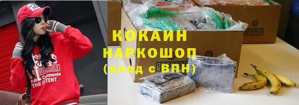 ГАЛЛЮЦИНОГЕННЫЕ ГРИБЫ Бородино