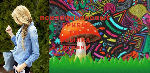 ГАЛЛЮЦИНОГЕННЫЕ ГРИБЫ Бородино