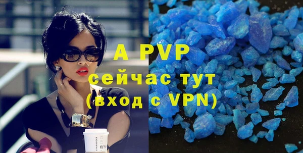 ГАЛЛЮЦИНОГЕННЫЕ ГРИБЫ Бородино