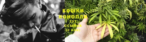 стаф Бронницы