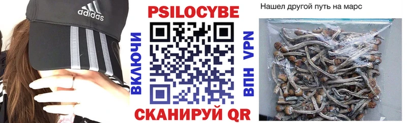 Псилоцибиновые грибы прущие грибы  даркнет формула  Горнозаводск  купить наркотик 